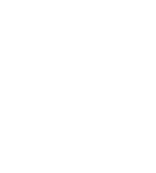 Sushi Circle